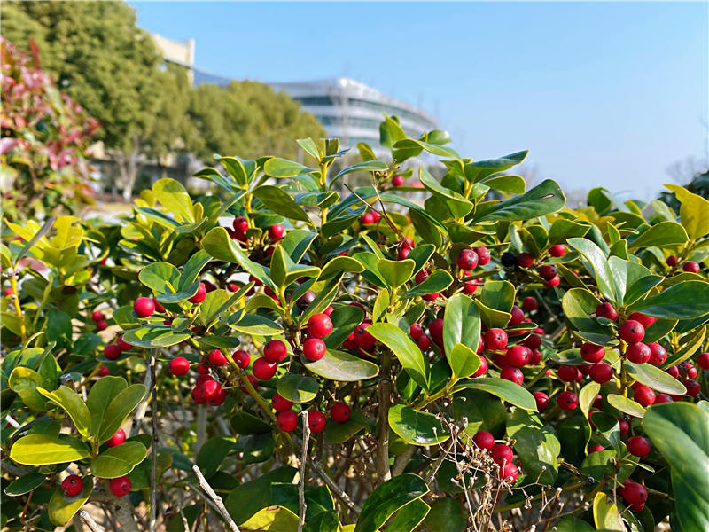 IMG_4653(20210203-100549)_副本.jpg