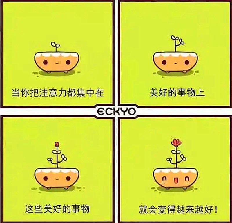 1616057908216050477.jpg